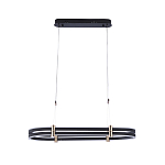 Люстра светодиодная в форме овала из акрила и алюминия с пультом для регулировки света Ring Horizontal Anthracite варинант исполнения - 1 | Loft Concept в Москве