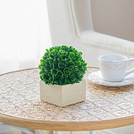 Декоративный искусственное растение Square boxwood варинант исполнения - 6 | Loft Concept в Москве