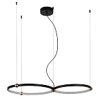 Люстра подвесная светодиодная черный металл Ring Horizontal варинант исполнения - 9 | Loft Concept в Москве