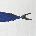 Плитка с узором Рыба пловчиха варинант исполнения - 6 | Loft Concept в Москве