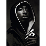 Подарочная книга величайший фотограф Альберт Уотсон The Vienna album Albert Watson варинант исполнения - 2 | Loft Concept в Москве