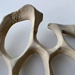 Блюдо «Бежевый коралл» варинант исполнения - 3 | Loft Concept в Москве