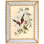 Постер с изображением птиц и цветов в зеркальной раме Blooming Birds Poster варинант исполнения - 2 | Loft Concept в Москве