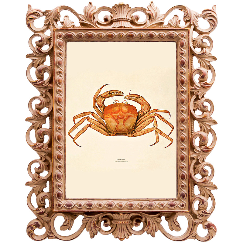  Ocher Crab Poster     | Loft Concept 