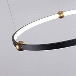 Люстра подвесная светодиодная черный металл Ring Horizontal варинант исполнения - 10 | Loft Concept в Москве