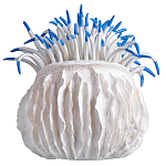 Статуэтка тропический фрукт Tropical Fruit White Blue варинант исполнения - 3 | Loft Concept в Москве