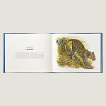 Лимитированная подарочная книга HERMES Fierce and Fragile book, English version варинант исполнения - 3 | Loft Concept в Москве
