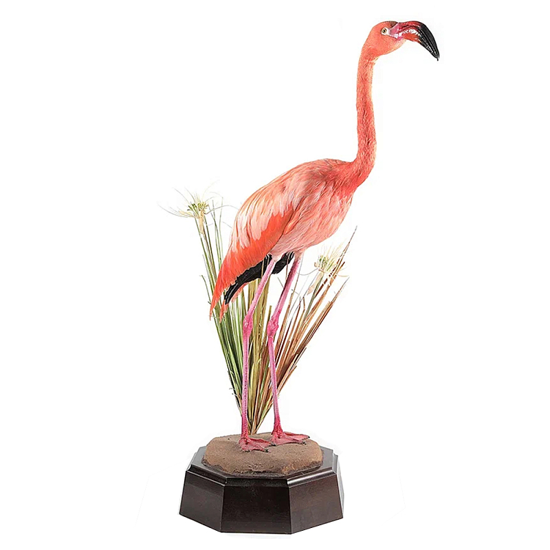    Pink Flamingo     | Loft Concept 