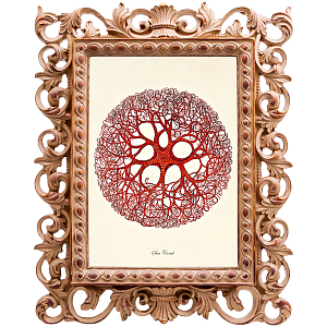 Постер Red Coral Poster 6