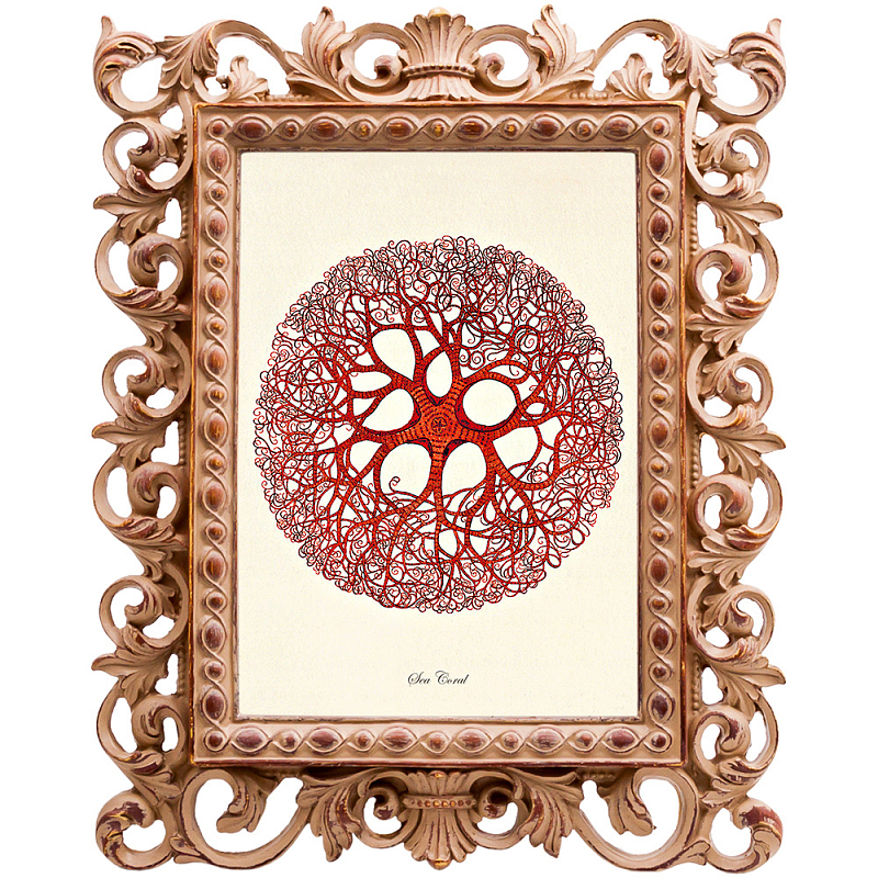  Red Coral Poster 6     | Loft Concept 