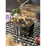 Шкатулка черного цвета с крышкой с фигуркой льва Eden Garden варинант исполнения - 6 | Loft Concept в Москве