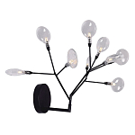 Бра в виде ветвей с прозрачными круглыми плафонами Moooi варинант исполнения - 2 | Loft Concept в Москве