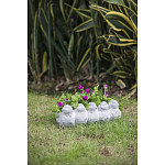 Кашпо Canaries варинант исполнения - 6 | Loft Concept в Москве