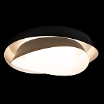 Потолочный светильник круглый черного цвета из металла Vita Cuna варинант исполнения - 1 | Loft Concept в Москве