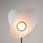 Напольный светильник Evolution 3000К 12Вт варинант исполнения - 5 | Loft Concept в Москве