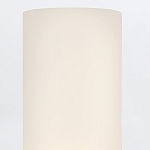 Бра для ванных комнат вертикальное с двумя матовыми белыми стеклянными плафонами Hinkley варинант исполнения - 4 | Loft Concept в Москве