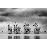 Книга Beusker. Look into my Eyes варинант исполнения - 4 | Loft Concept в Москве