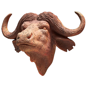Голова буйвола