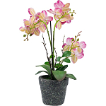 Декоративный искусственное растение Pink orchid варинант исполнения - 5 | Loft Concept в Москве