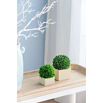 Декоративный искусственное растение Square boxwood варинант исполнения - 5 | Loft Concept в Москве