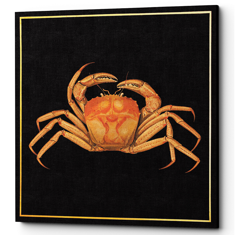  Running Crab Poster     | Loft Concept 