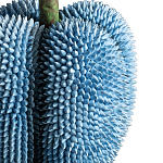 Статуэтка тропический фрукт Tropical Fruit blue варинант исполнения - 3 | Loft Concept в Москве