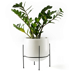 Кашпо из керамики Elevated Planters 32 варинант исполнения - 11 | Loft Concept в Москве