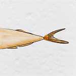 Плитка с узором Рыба Русалка варинант исполнения - 6 | Loft Concept в Москве