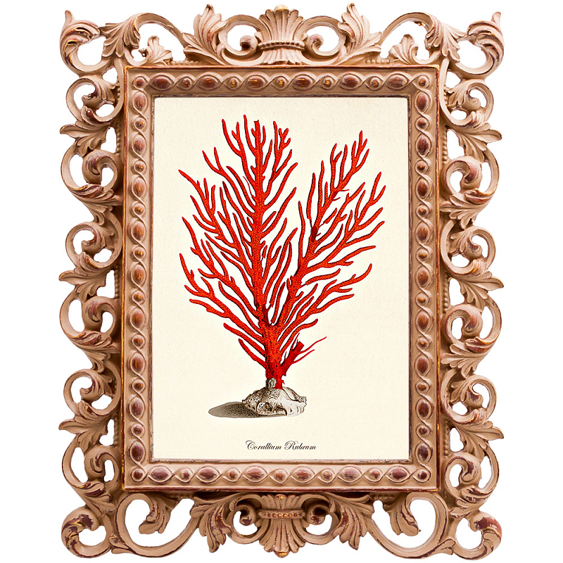  Red Coral Poster 1     | Loft Concept 