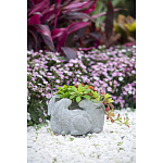 Кашпо A collection of baby rabbits варинант исполнения - 9 | Loft Concept в Москве