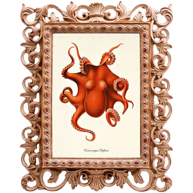  Red Octopus Poster     | Loft Concept 