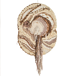 Овальный Современный Гобелен Абстракция в бежевых тонах Shallow варинант исполнения - 7 | Loft Concept в Москве