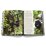 Подарочнный коллекционный фото альбом AFRICAN ADVENTURES NEW 2023 ASSOULINE HC UNBELIEVABLE ILLUSTRATIONS Safari варинант исполнения - 8 | Loft Concept в Москве
