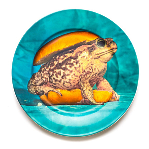 Тарелка Seletti Porcelain Plate Toad