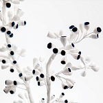 Статуэтка Синий тропический фрукт Tropical Fruit Pandora 1 варинант исполнения - 3 | Loft Concept в Москве