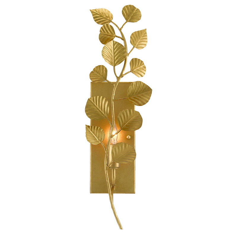          Eucalyptus Branches    | Loft Concept 