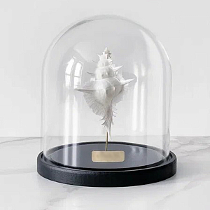 Статуэтка Murex Alabaster Glass Cloche