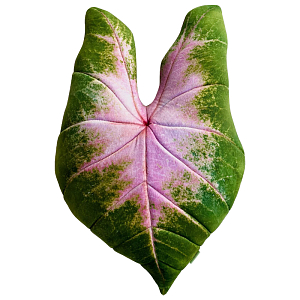 Декоративная подушка Botanical Cushion Caladium Bicolor