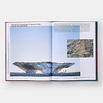 Radical Architecture of the Future варинант исполнения - 4 | Loft Concept в Москве