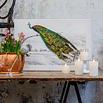 Постер на холсте с изображением павлина на ветке Majestic Peacock on a Tree Poster варинант исполнения - 2 | Loft Concept в Москве