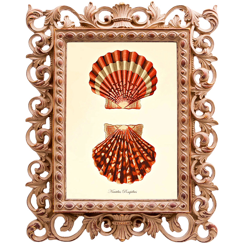 Постер Red Scallop Poster Бежевый Красный в Москве | Loft Concept 