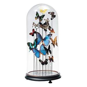Статуэтка 15 Butterflies Glass Cloche