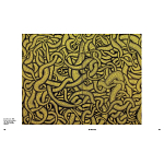 Редкое подарочное издание Yayoi Kusama: 1945 to Now варинант исполнения - 7 | Loft Concept в Москве