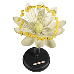 Статуэтка Tilia варинант исполнения - 1 | Loft Concept в Москве