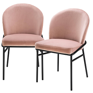 Комплект из двух стульев Eichholtz Dining Chair Willis Set of 2 nude