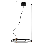 Люстра подвесная светодиодная черный металл Ring Horizontal варинант исполнения - 2 | Loft Concept в Москве