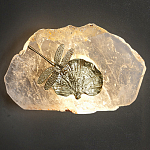 Бра Декоративный лист с стрекозой Glacial Fragment варинант исполнения - 2 | Loft Concept в Москве