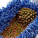 Дизайнерская статуэтка для интерьера Tropical Fruit Pandora 12 варинант исполнения - 3 | Loft Concept в Москве