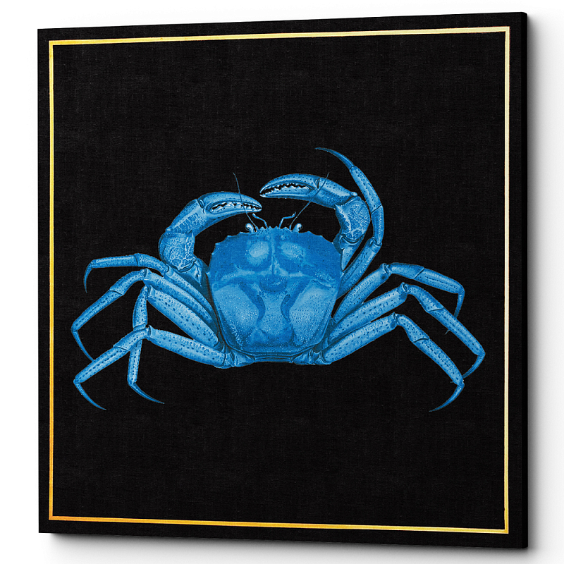  Blue Crab Poster      | Loft Concept 