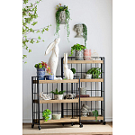 Кашпо Curly baby варинант исполнения - 4 | Loft Concept в Москве